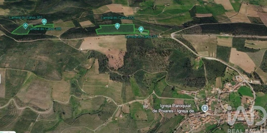 Terreno para Venda em Poiares