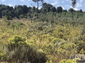 Terreno para Venda em Poiares