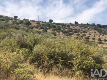 Terreno para Venda em Poiares