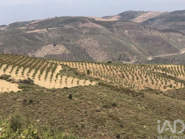 Terreno para Venda em Poiares