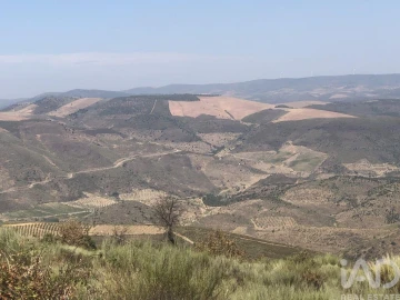 Terreno para Venda em Poiares