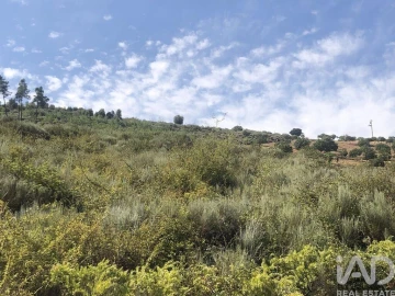 Terreno para Venda em Poiares