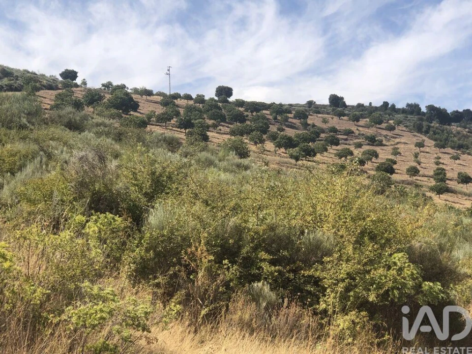 Terreno para Venda em Poiares Foto 7