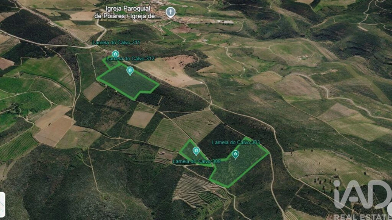 Terreno para Venda em Poiares Foto 1