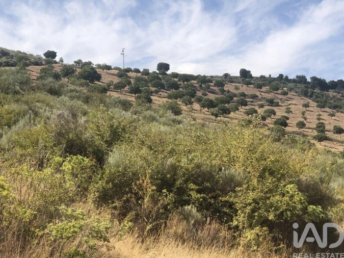 Terreno para Venda em Poiares Foto 7