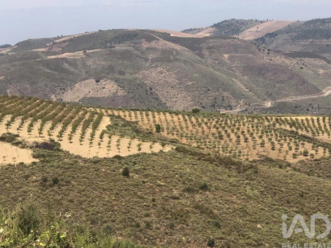 Terreno para Venda em Poiares Foto 11