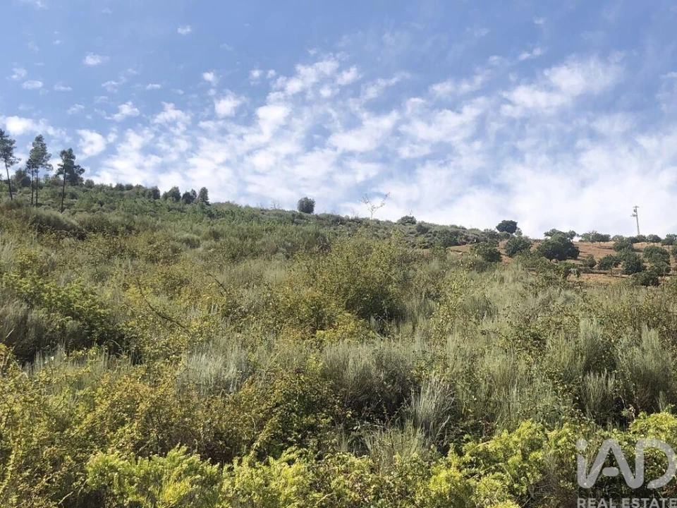 Terreno para Venda em Poiares Foto 5