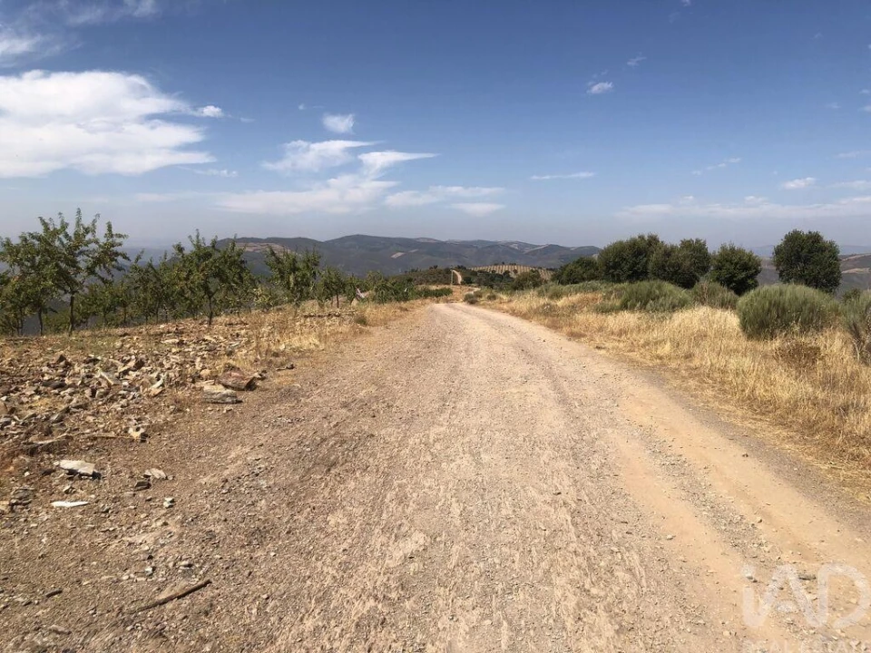 Terreno para Venda em Poiares Foto 3