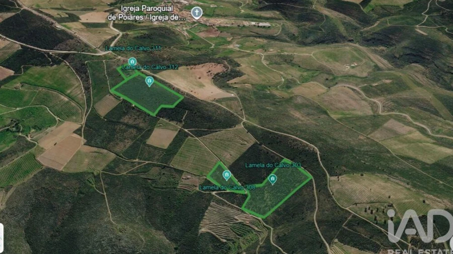 Terreno para Venda em Poiares