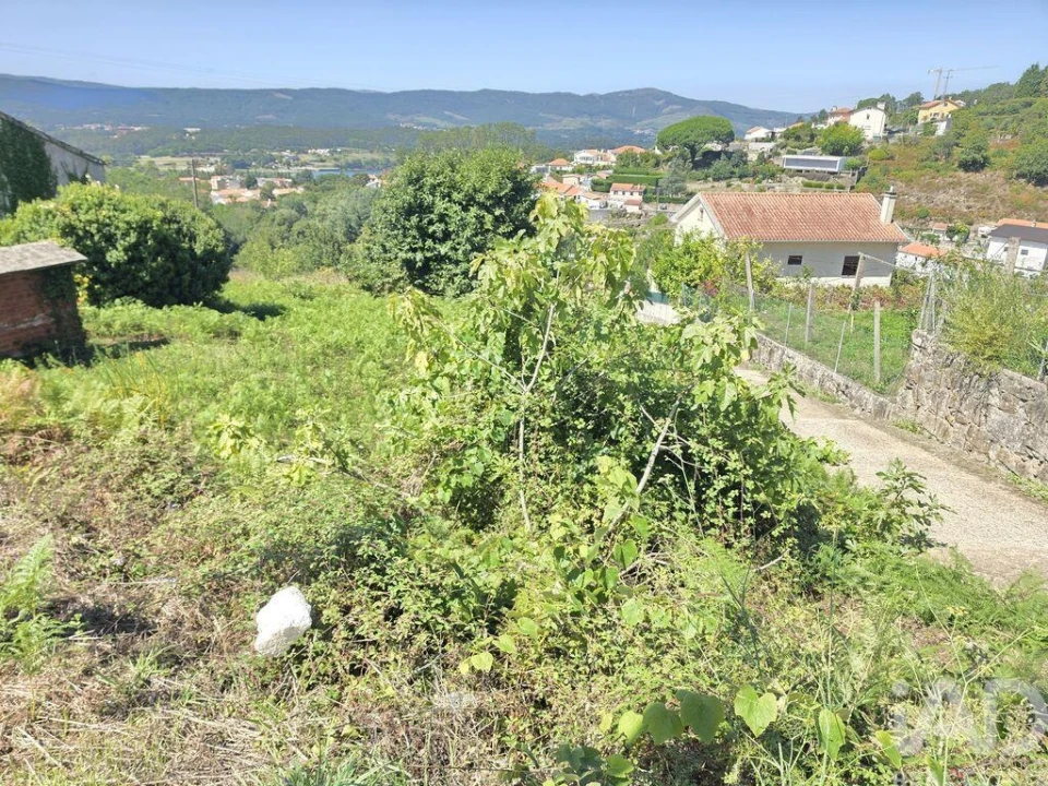 Terreno para Venda em Loivo Foto 3