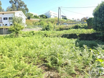 Terreno para Venda em Loivo