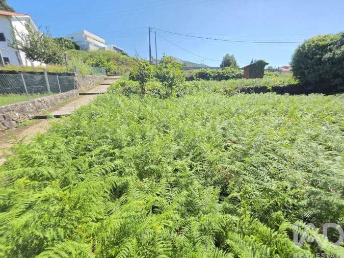 Terreno para Venda em Loivo Foto 5