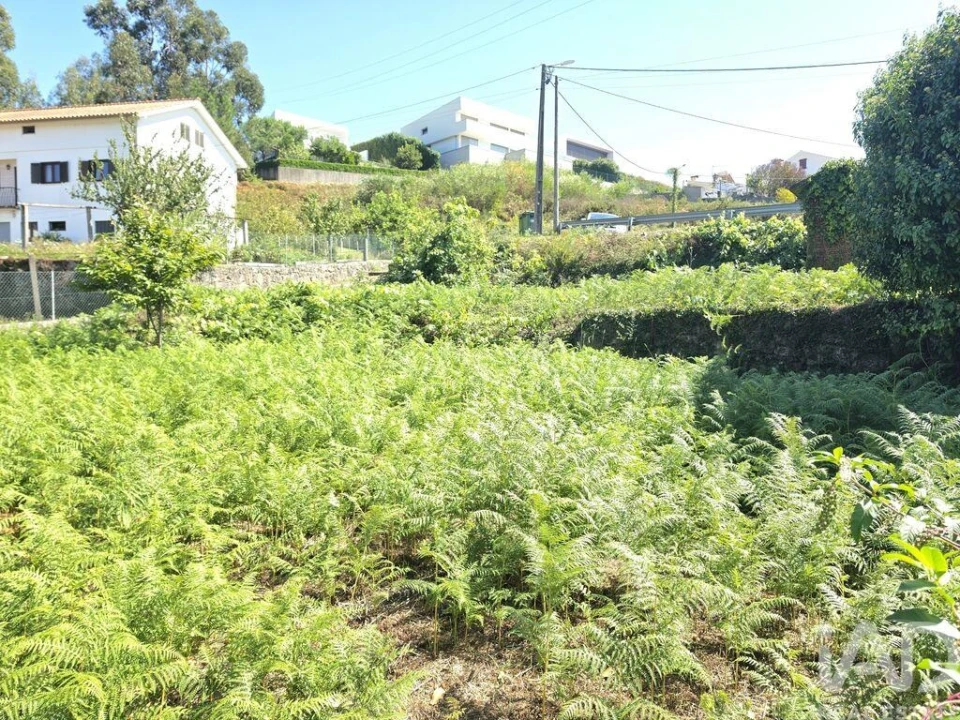 Terreno para Venda em Loivo Foto 6