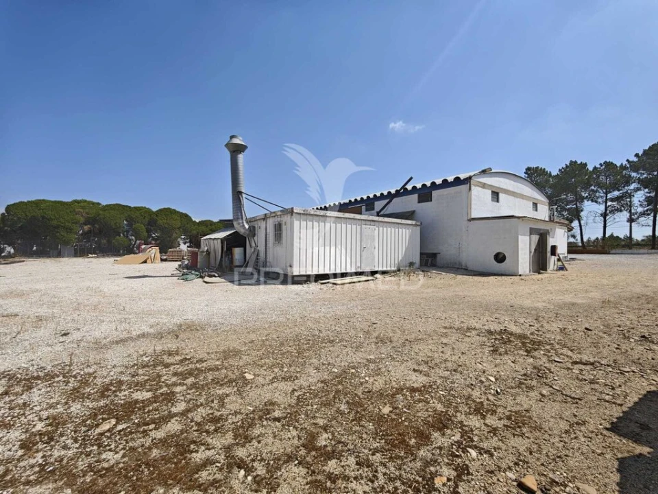 Armazém para Venda em Muge Foto 6