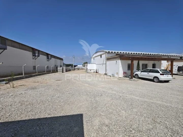 Armazém para Venda em Muge