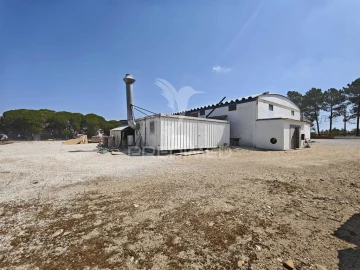 Armazém para Venda em Muge