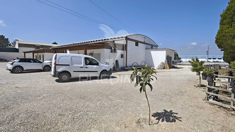Armazém para Venda em Muge