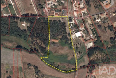 Armazém para Venda em Rio Maior