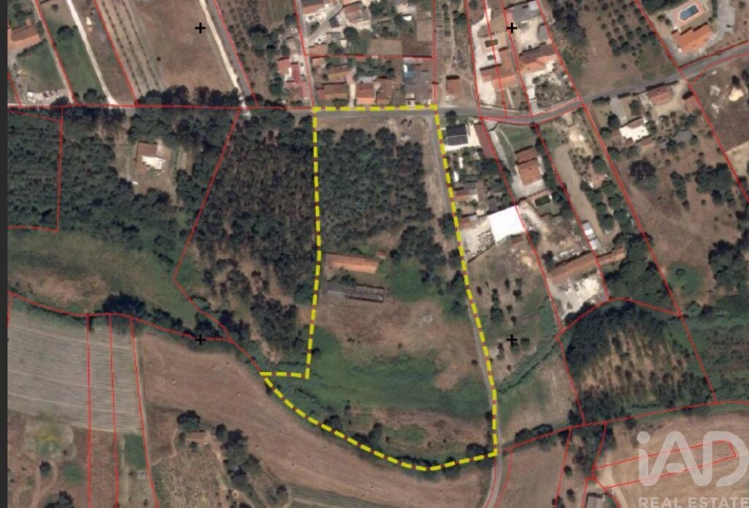 Armazém para Venda em Rio Maior Foto 1