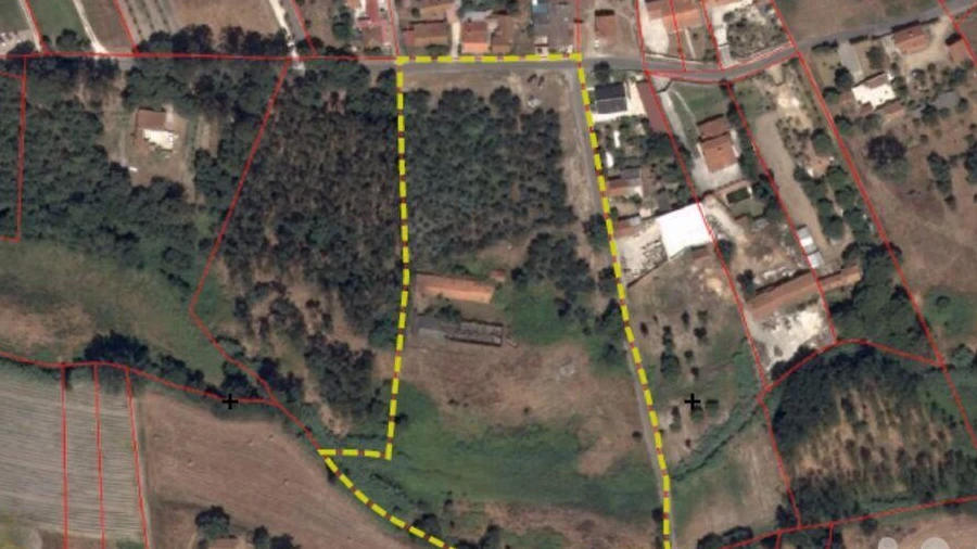 Armazém para Venda em Rio Maior