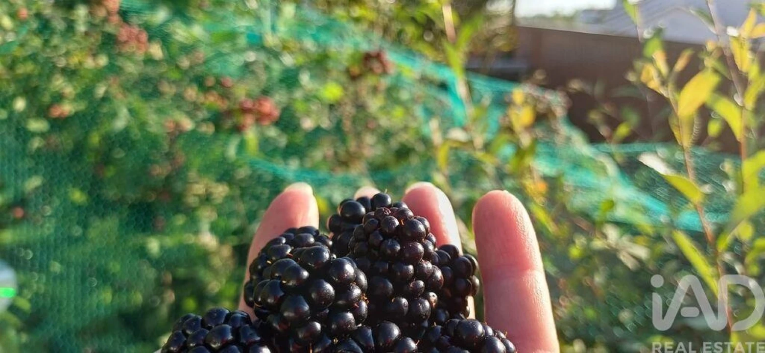 Moradia T3 para Venda em Colmeias e Memória Foto 19
