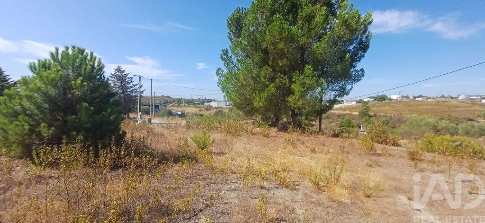 Terreno para Venda em Castelo Branco Foto 8