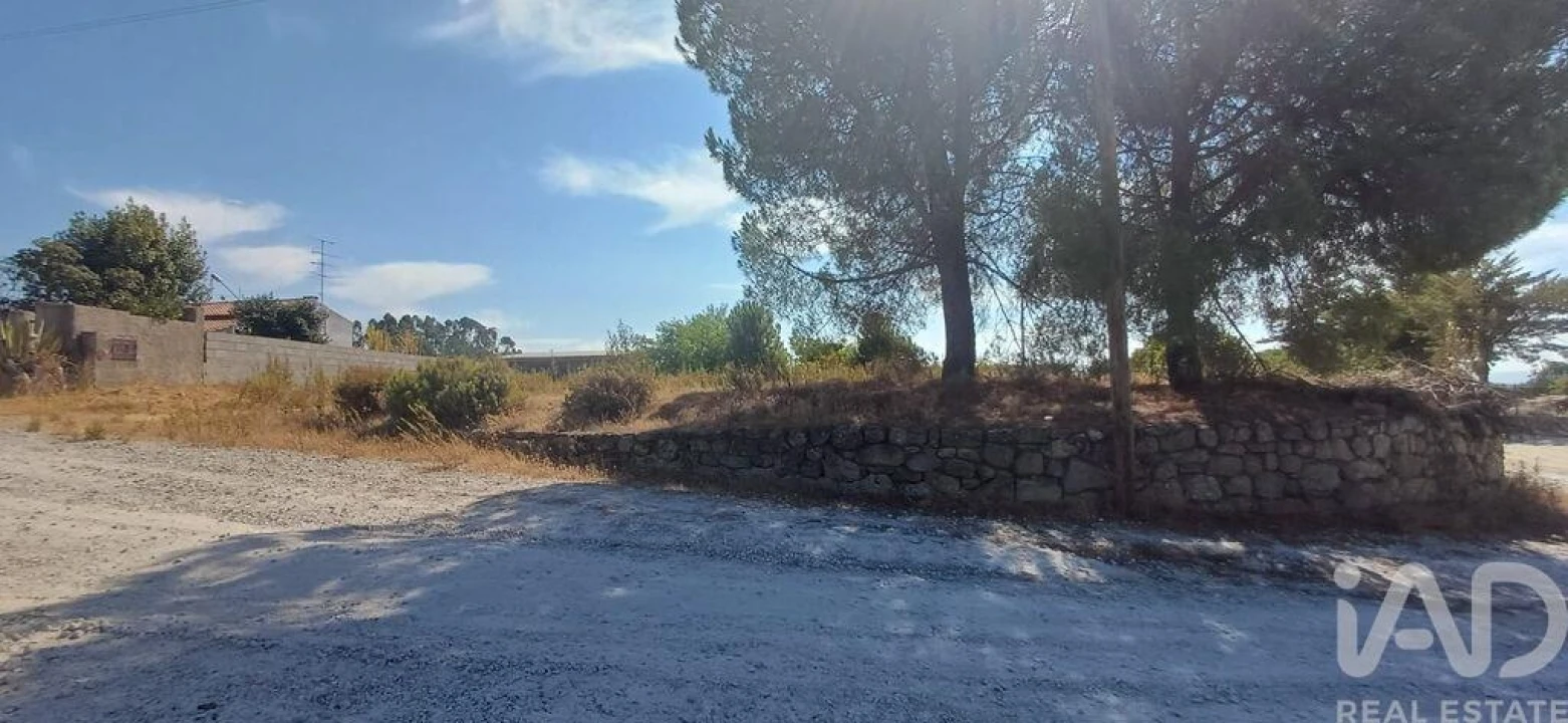 Terreno para Venda em Castelo Branco Foto 3