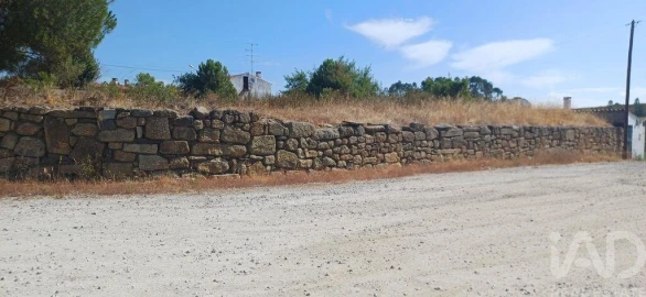 Terreno para Venda em Castelo Branco