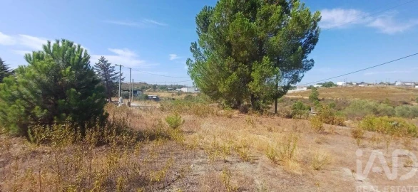 Terreno para Venda em Castelo Branco