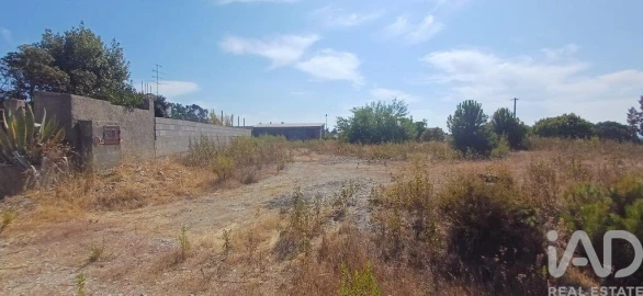 Terreno para Venda em Castelo Branco