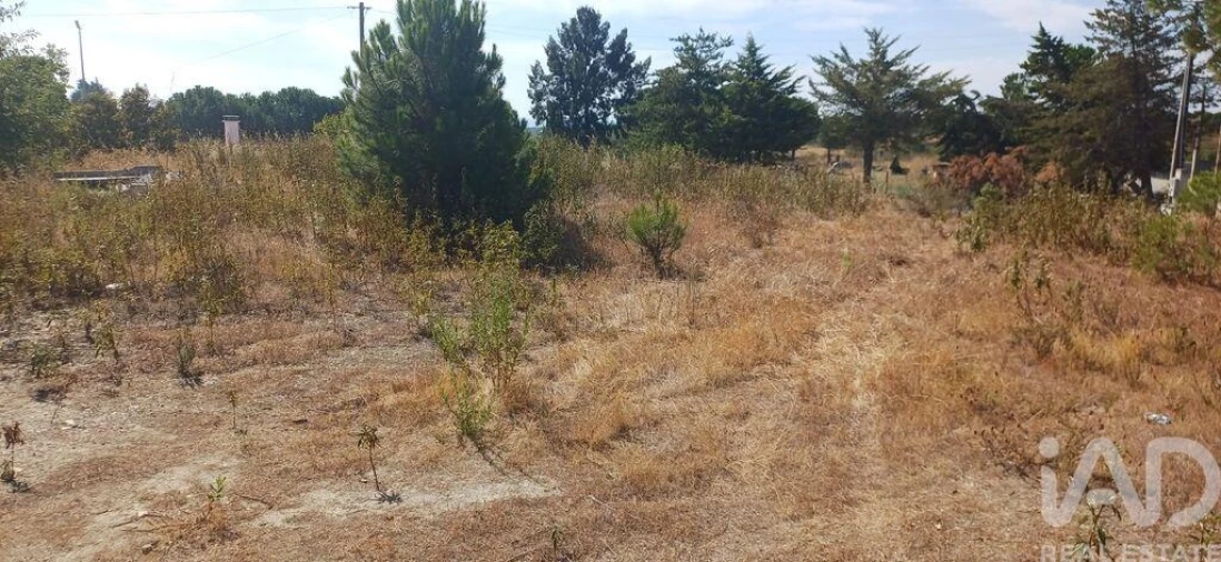 Terreno para Venda em Castelo Branco Foto 9