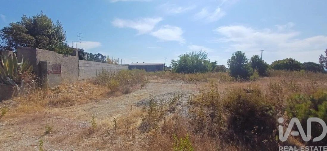 Terreno para Venda em Castelo Branco Foto 4