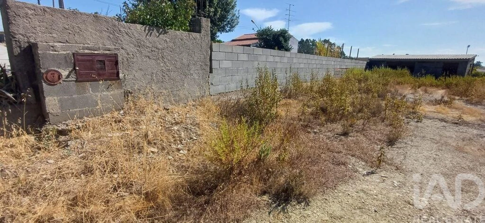 Terreno para Venda em Castelo Branco Foto 5