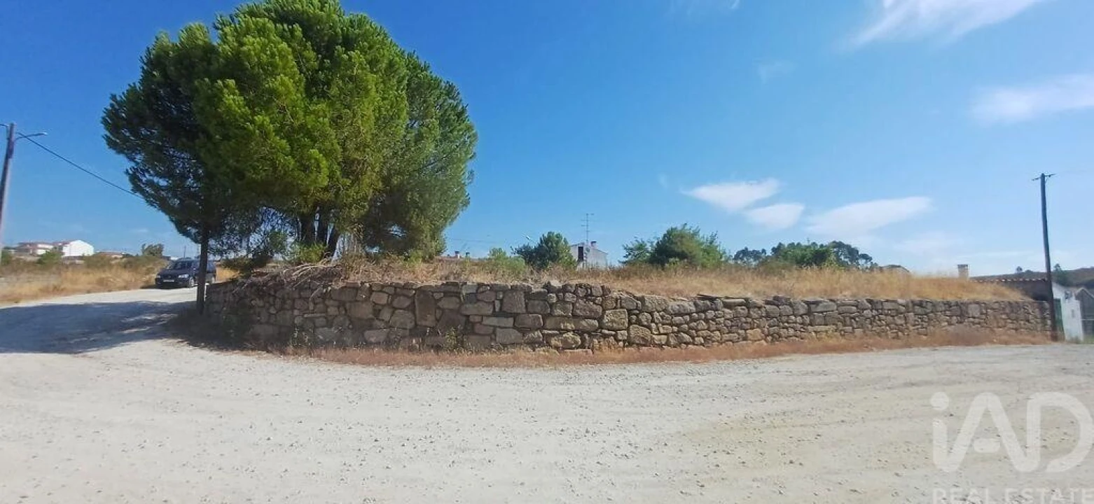 Terreno para Venda em Castelo Branco Foto 1