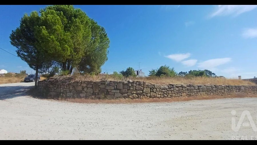Terreno para Venda em Castelo Branco