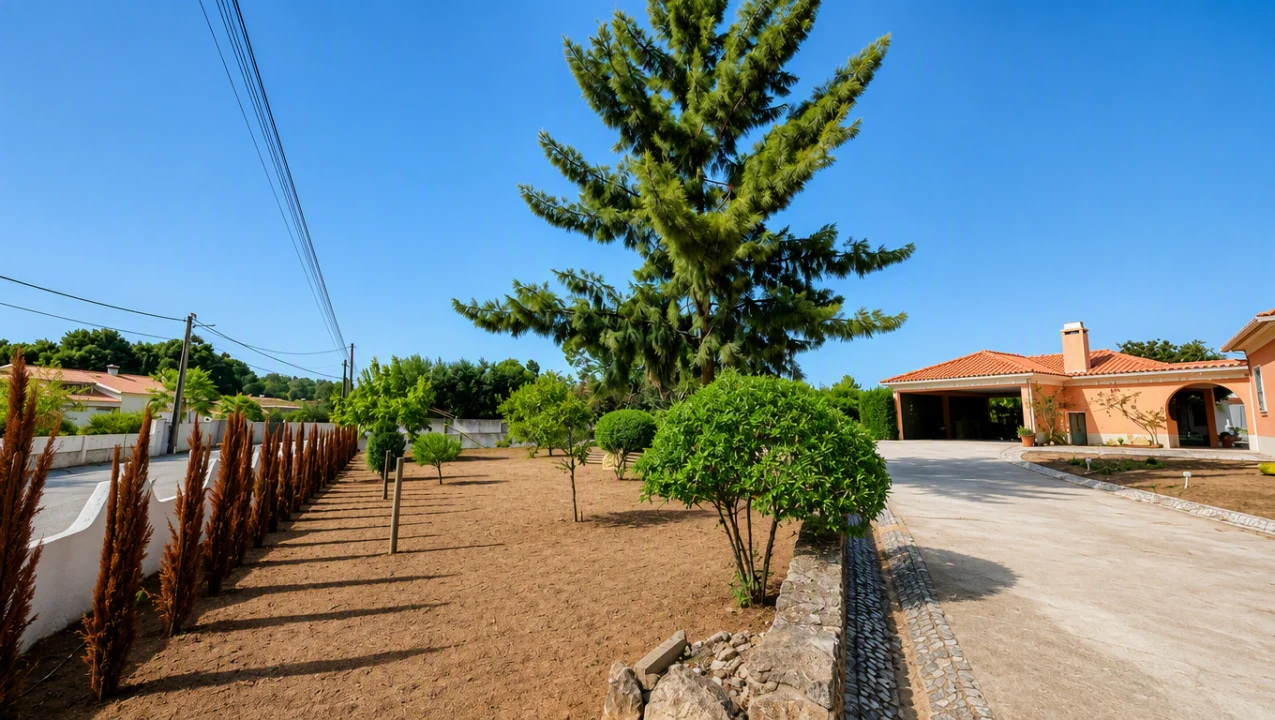 Quinta T4 para Venda em Azeitão (São Lourenço e São Simão) Foto 16
