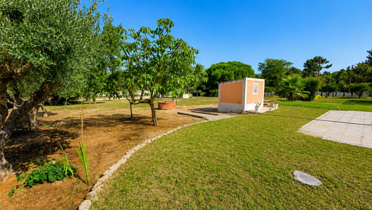 Quinta T4 para Venda em Azeitão (São Lourenço e São Simão) Foto 3