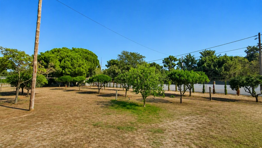 Quinta T4 para Venda em Azeitão (São Lourenço e São Simão) Foto 10