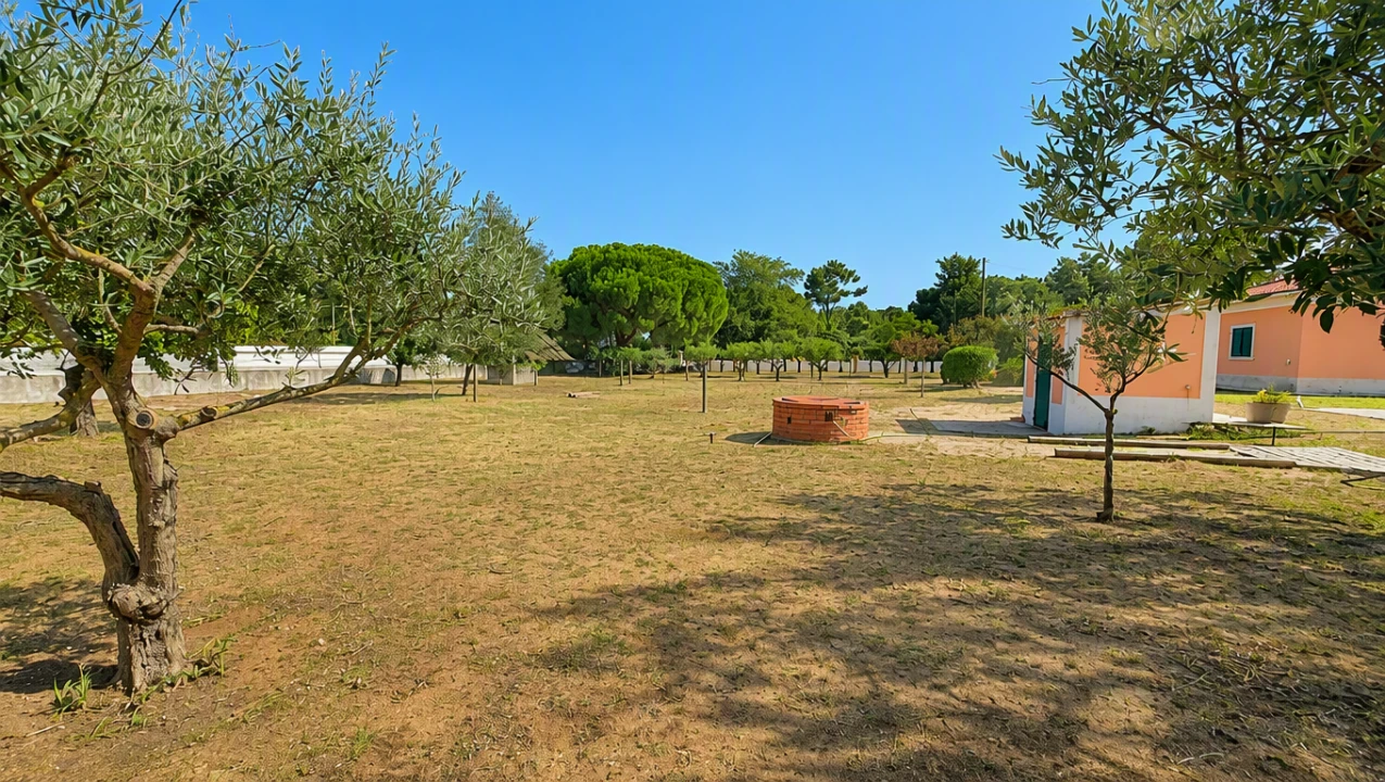 Quinta T4 para Venda em Azeitão (São Lourenço e São Simão) Foto 4
