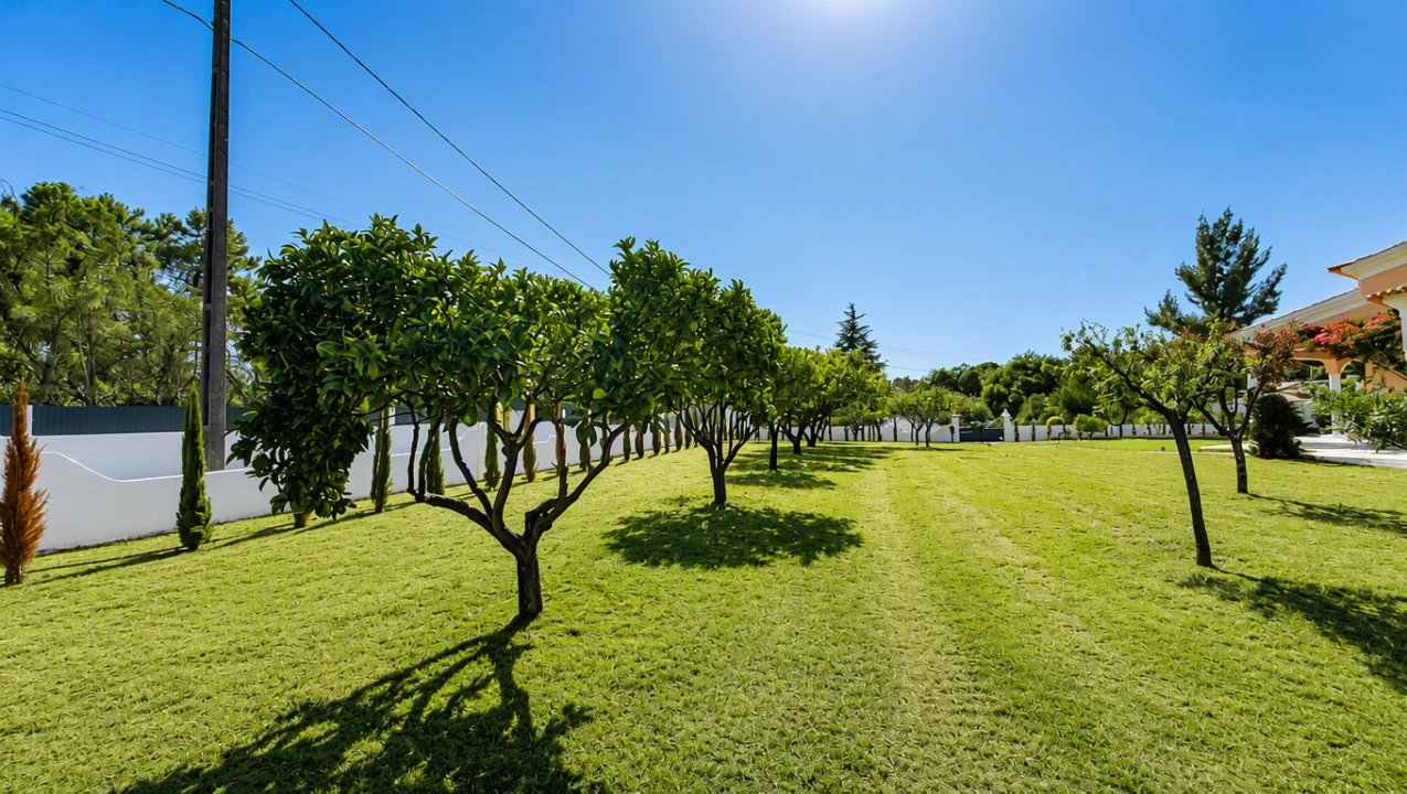 Quinta T4 para Venda em Azeitão (São Lourenço e São Simão) Foto 12