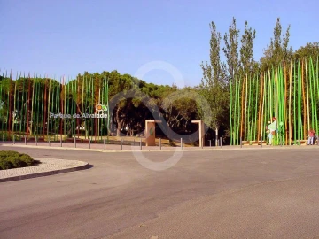 Loja para Venda em Alvalade