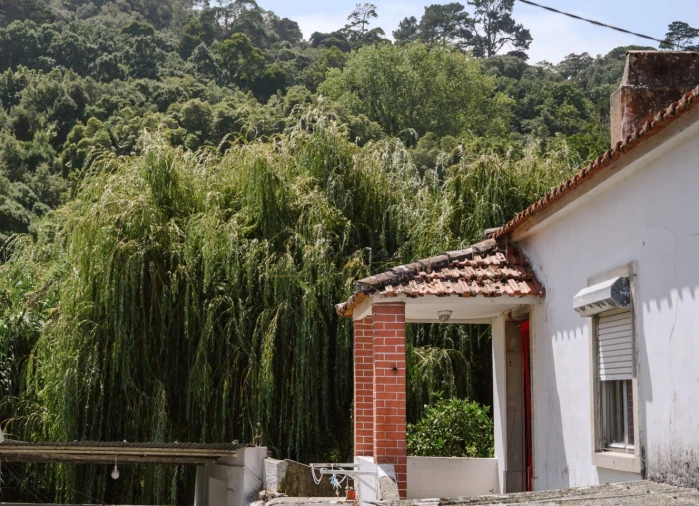 Moradia T4 para Venda em Santa Maria e São Miguel, São Martinho, São Pedro Penaferrim Foto 26