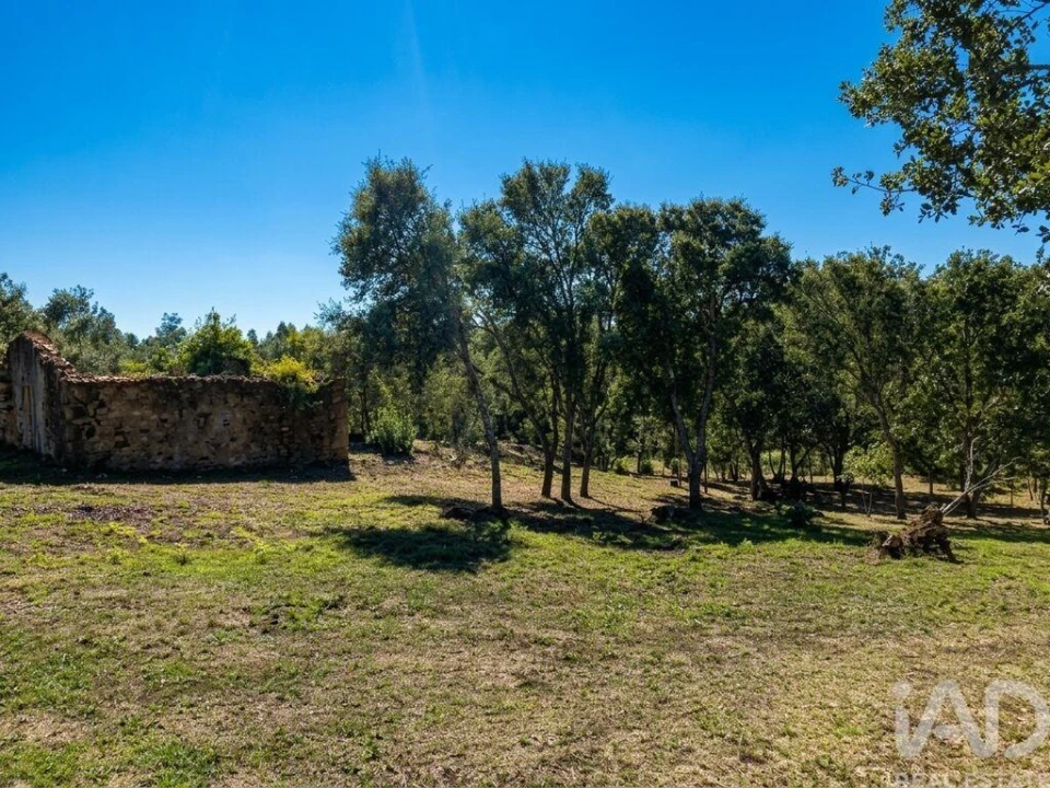 Quinta para Venda em Graça Foto 6