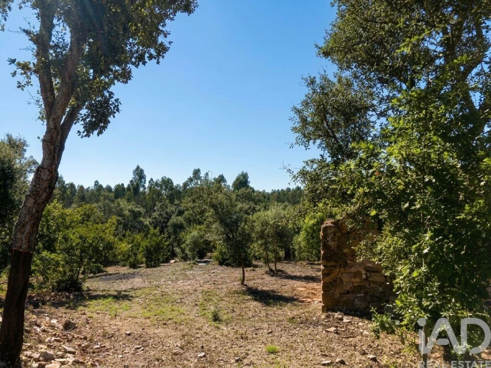 Quinta para Venda em Graça Foto 14