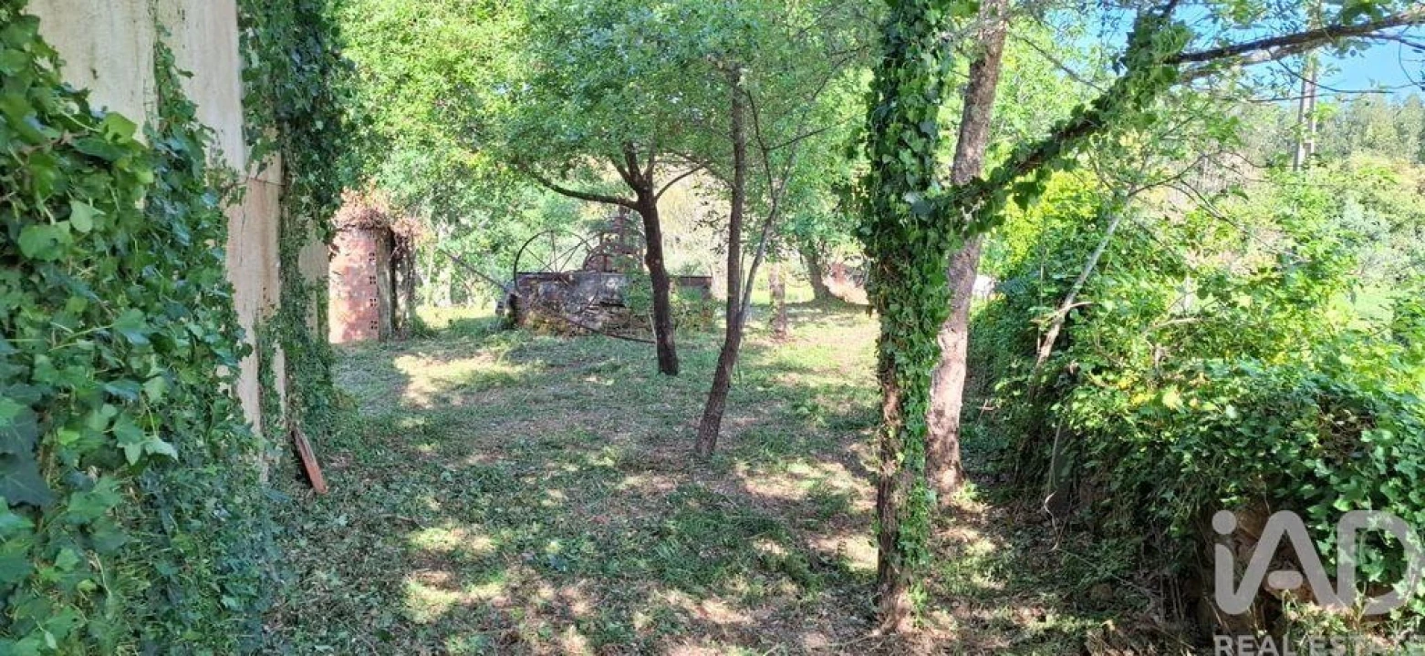 Quinta para Venda em Graça Foto 12