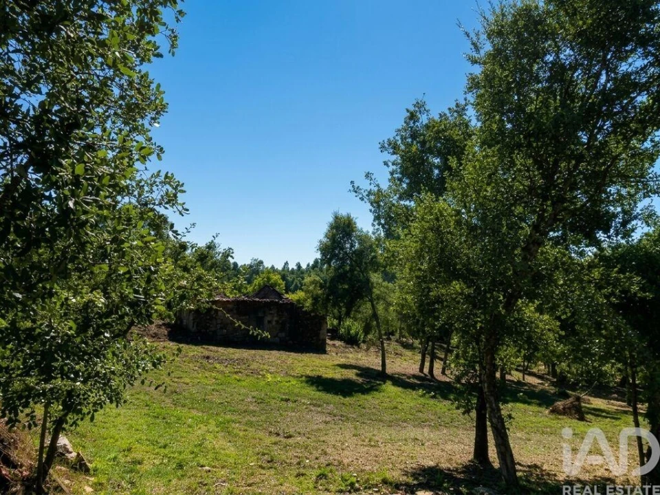 Quinta para Venda em Graça Foto 5