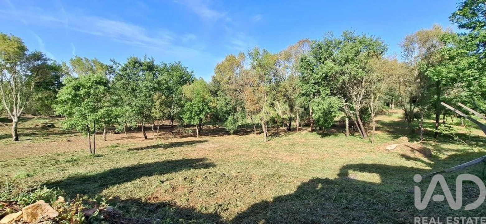 Quinta para Venda em Graça Foto 32