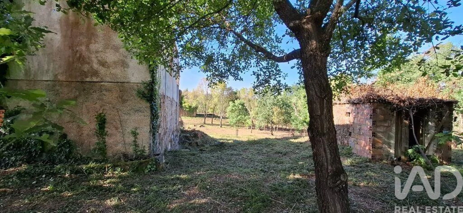 Quinta para Venda em Graça Foto 11