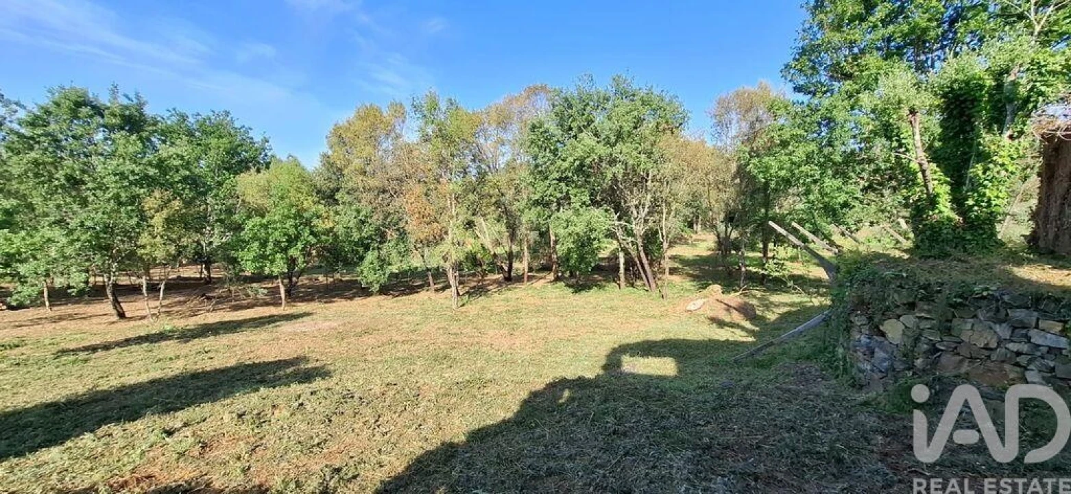 Quinta para Venda em Graça Foto 29