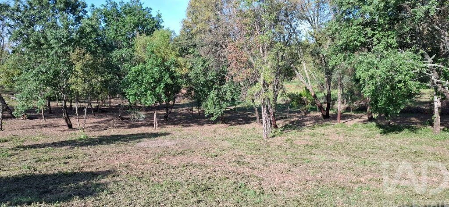 Quinta para Venda em Graça Foto 34